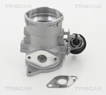 Клапан рециркуляции отработанных газов EGR TRISCAN 8813 29056
