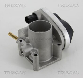 Заслонка дроссельная TRISCAN 8820 29001