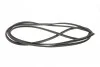 Ущільнювач скла лобового MB Sprinter/VW LT 96-06 TRUCKTEC 01.50.018 (фото 4)