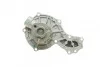 Помпа води Audi A4/A6/VW Passat 1.6/1.8/1.8T/quattro 94-05 TRUCKTEC 07.19.082 (фото 9)