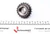 Комплект ланцюга ГРМ BMW 3 (F34)/X1 (F48)/X4 (F98) 1.5D/1.6D/2.0D 12- TRUCKTEC 08.12.074 (фото 9)