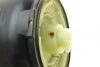 Подушка пневмопідвіски (ззаду) BMW 5 (F07/F11) 09-17 TRUCKTEC 08.30.082 (фото 3)