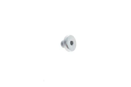 Пробка М10*9 VAG WHT005510