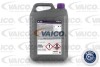 Антифриз-концентрат G13 ANTIFREEZE, фиолетовый, 5 л VAICO V60-0165 (фото 2)