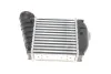 Радіатор інтеркулера VW Golf/Bora/Skoda Octavia/Seat Leon 1.9TDI 00-10 Van Wezel 03004354 (фото 6)