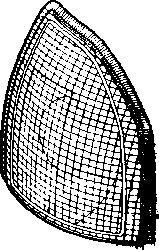 Фонарь указателя поворота правый Van Wezel 0320904