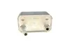 Радіатор масляний АКПП BMW X5 3.0d-4.6i 00-06 (теплообмінник) M54/M57/M62/N62 Van Wezel 06003406 (фото 5)