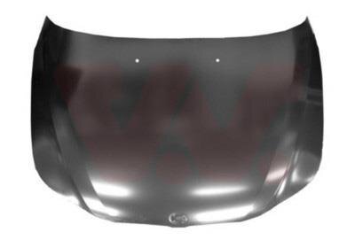 Капот Van Wezel 0655660