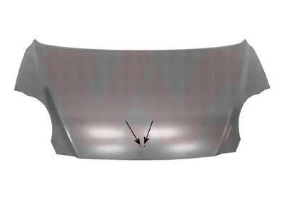 Капот Van Wezel 0807660