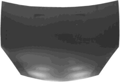 Капот Van Wezel 1506660