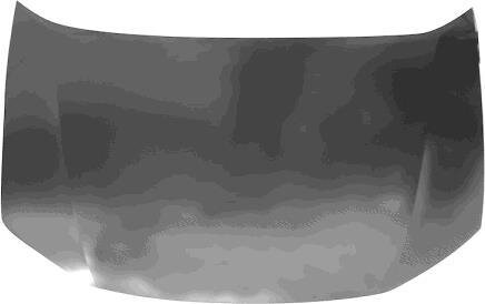 Капот Van Wezel 2511660