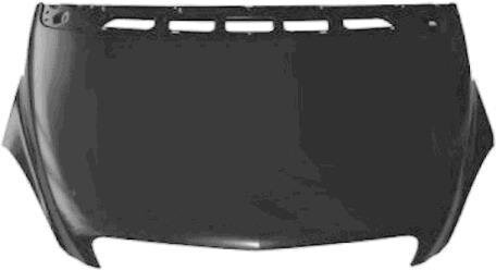 Капот Van Wezel 3005660