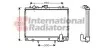 Радиатор охлаждения двигателя Van Wezel 32002161 (фото 2)