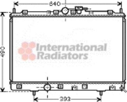 Радиатор охлаждения двигателя Van Wezel 32002169