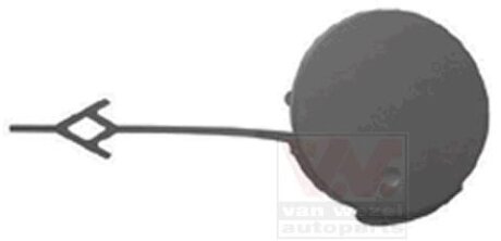 Заглушка буксировочного крюка Van Wezel 3852587