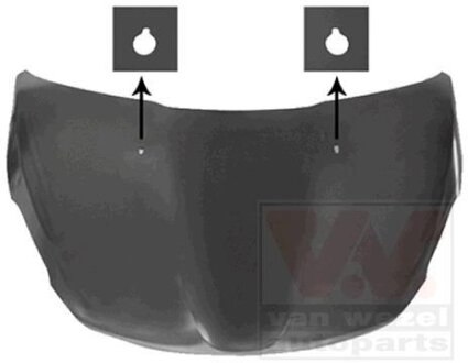 Капот Van Wezel 4034660
