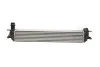 Радіатор інтеркулера Renault Laguna III 1.5/2.0 dCi 07-15 Van Wezel 43004462 (фото 1)