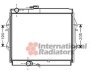 Радиатор охлаждения двигателя Van Wezel 53002492 (фото 1)