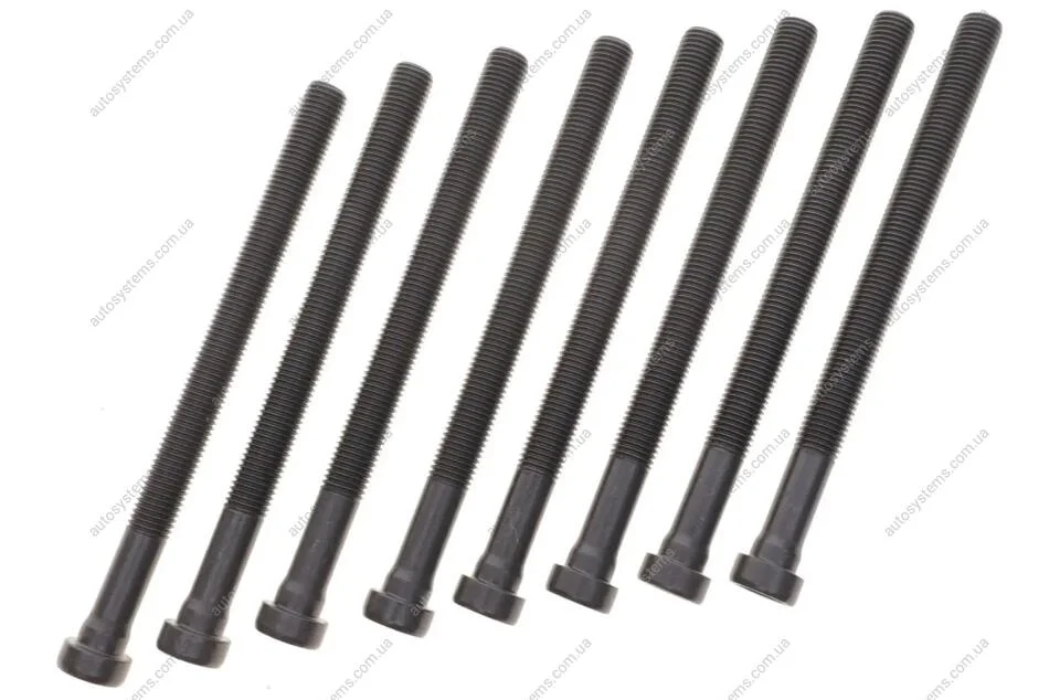 Болти головки (к-кт 8шт.) Audi A4/A5/A6/A8/Q7/Skoda Superb/VW Passat/Touareg 2.5-3.0TDI 00- VICTOR REINZ 14-32196-01 (фото 1)