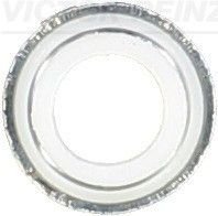 Уплотнительное кольцо, стержень кла VICTOR REINZ 702579200 (фото 1)