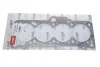 Прокладка ГБЦ VW Caddy II 1.9D (2 метки) Vika 11030155201 (фото 1)