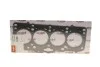 Прокладка ГБЦ VW Caddy/Golf IV/V/T5 1.9TDI 03- Vika 11030749801 (фото 1)