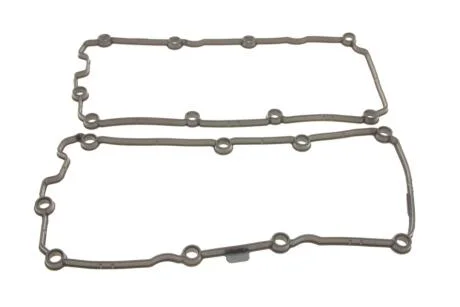 Прокладка кришки клапанів Audi A6 04-/VW Touareg 2.7/3.0TDi 10- (4-6 циліндр) Vika 11031790601