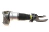 Air shock absorber assembly / front right Vika 46160000601 (фото 1)