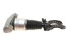 Air shock absorber assembly / front right Vika 46160000601 (фото 5)