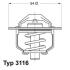 Термостат WAHLER 3116.82D (фото 1)