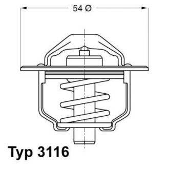 Термостат WAHLER 3116.89D