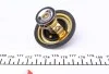 Термостат Renault Master II/Trafic 2.5-2.8D/TD/dTI 89-01 (79°C) WAHLER 4174.79D (фото 3)