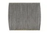 Фильтр салона угольный Ford Focus 1.6i-2.0TDCI 04 WIX FILTERS WP9231 (фото 1)