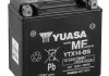 Аккумулятор YUASA YTX14-BS YUASA (фото 4)